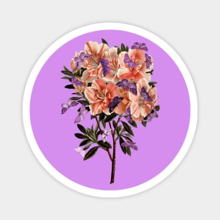 Pink azalea and purple butterflies Magnet